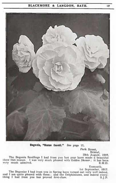 B. ‘Nurse Cavell’